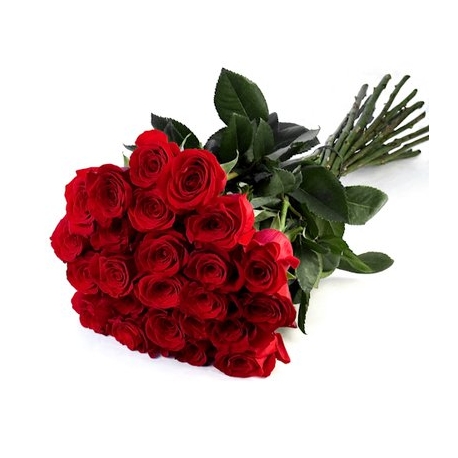 Rose Rosse San Valentino