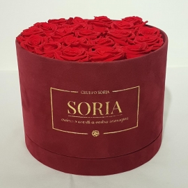 Scatola (Flower box) con rose Fresche.d.25