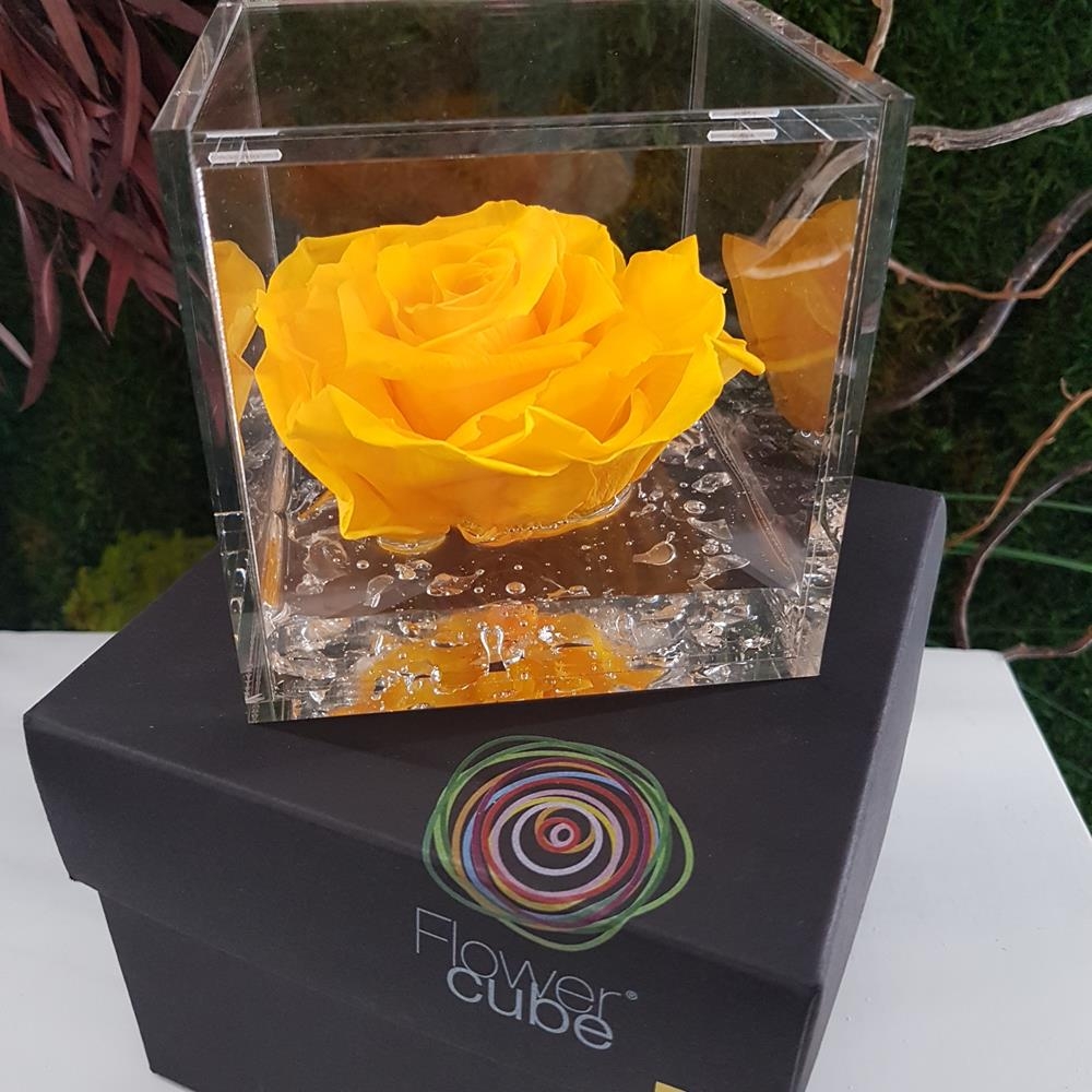 Cubo Rosa stabilizzata NERA 10x10x10 |  Fiori freschi a  casa Tua!